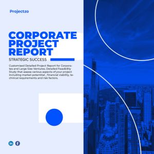 Corporate Detailed Project Report for High Value Ventures and Large enterprises. Expert made detailed project report by Projectzo