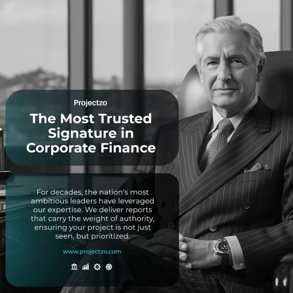 An authoritative senior executive representing Projectzo, the most trusted consultant for preparing a detailed project report for corporate finance.
