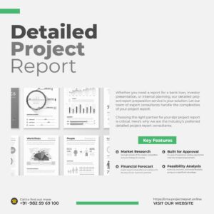 Expert Detailed Project Report Preparation Service