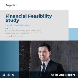 A confident industry expert representing Projectzo's professional financial feasibility report study service, an all-in-one report for businesses.