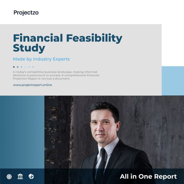 A confident industry expert representing Projectzo's professional financial feasibility report study service, an all-in-one report for businesses.