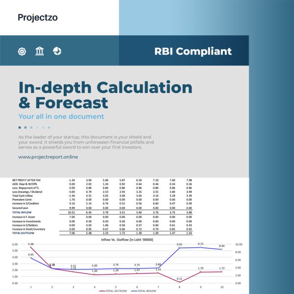 An example of an RBI compliant financial feasibility analysis showing in-depth financial forecasting and a cashflow projection from a Projectzo report.