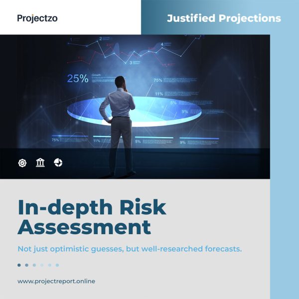 A professional conducting an in-depth risk assessment with justified projections, a key part of Projectzo's well-researched financial feasibility report.
