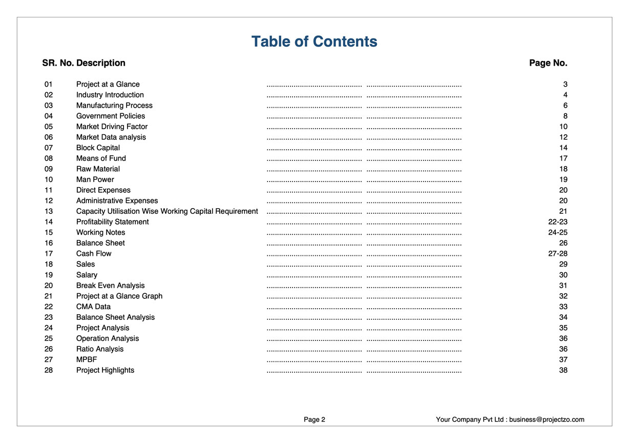 Detailed Project Report format index showing 28 compliance modules for bank loans and government subsidies.