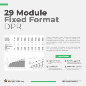 29-Module Fixed Format Detailed Project Report showcasing financial data, offering 6-hour express delivery for urgent bank loans and subsidies.